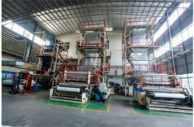 How is PE Protective Film Blown Out?